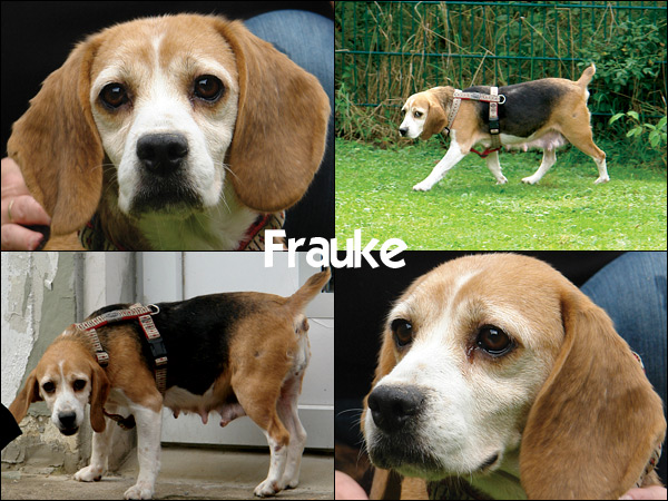 Bild von Frauke