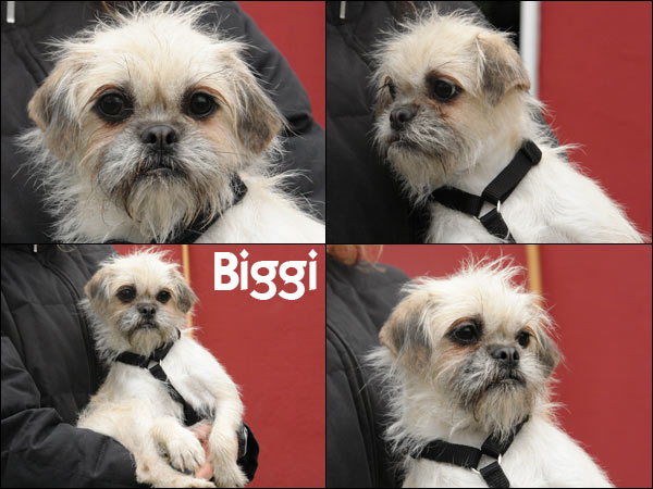 Bild von Biggi