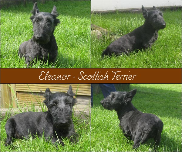 Bild von Eleanor*