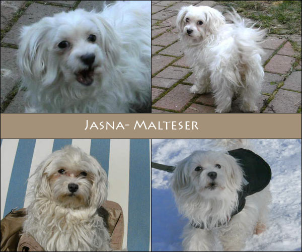 Bild von Jasna