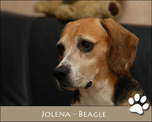 Bild von Jolena