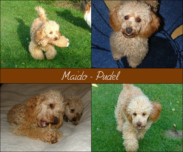 Bild von Maido