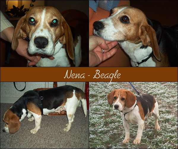 Bild von Nena