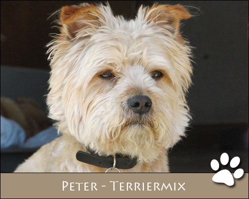 Bild von Peter