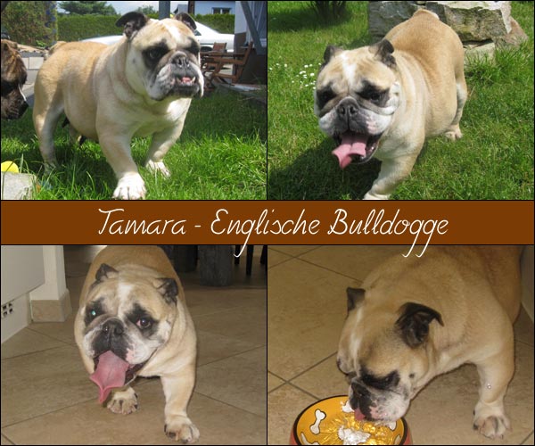 Bild von Tamara