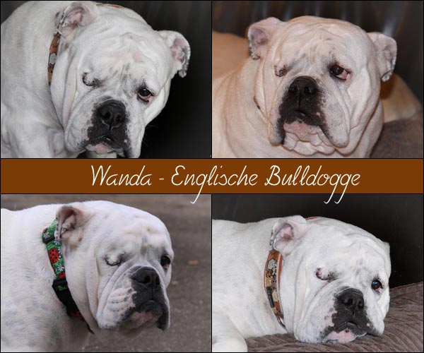 Bild von Wanda