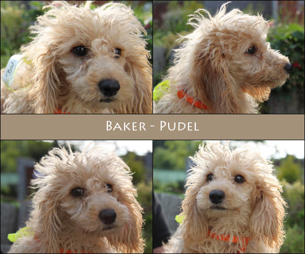 Bild von Baker