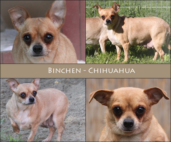 Bild von Binchen