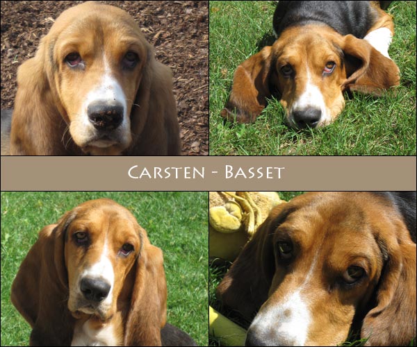 Bild von Carsten