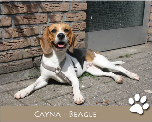 Bild von Cayna