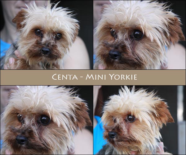 Bild von Centa