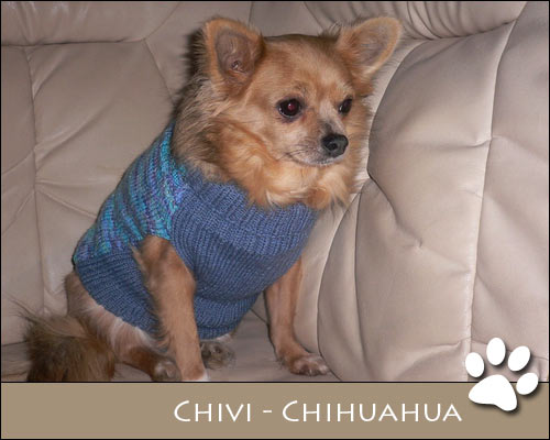Bild von Chivi