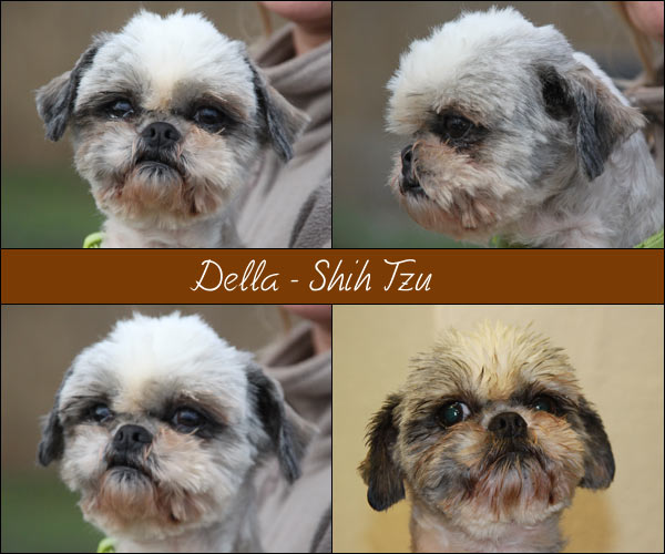 Bild von Della