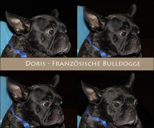Bild von Doris