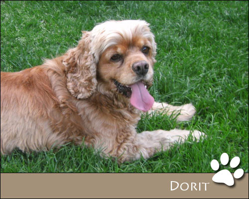 Bild von Dorit