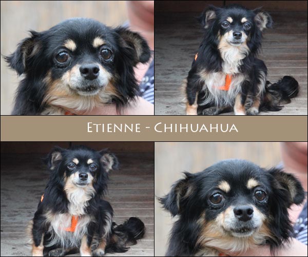 Bild von Etienne