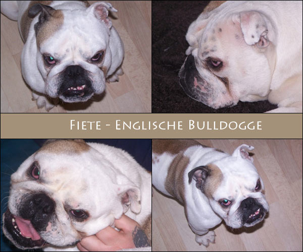 Bild von Fiete