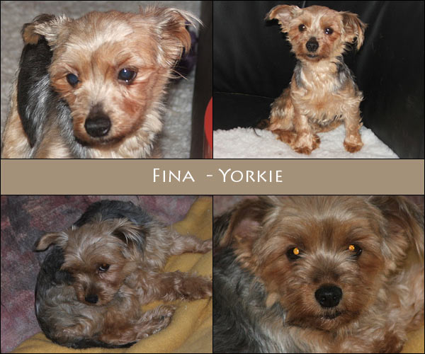 Bild von Fina