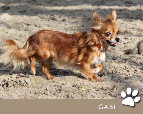 Bild von Gabi
