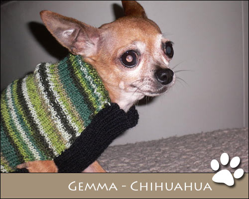 Bild von Gemma