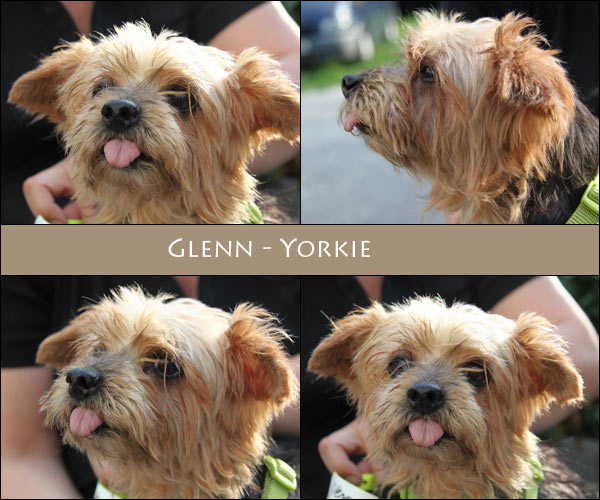 Bild von Glenn
