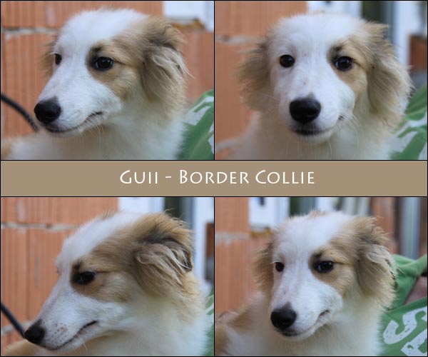 Bild von Guii