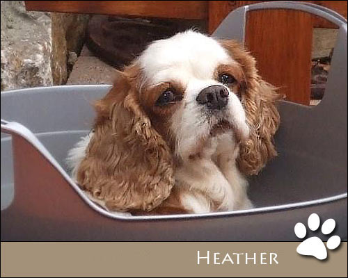 Bild von Heather