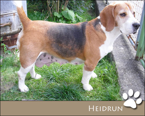 Bild von Heidrun