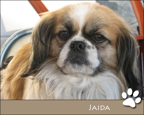 Bild von Jaida