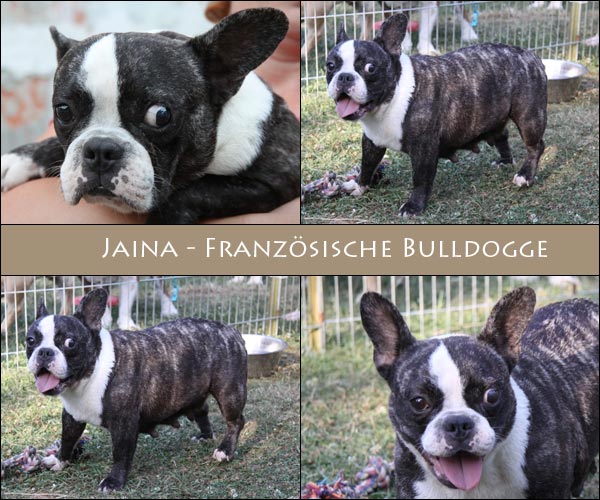 Bild von Jaina
