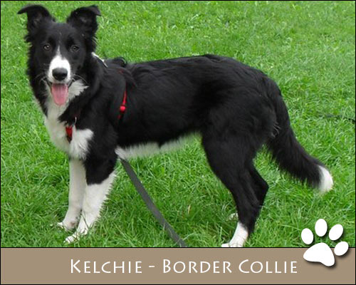 Bild von Kelchie