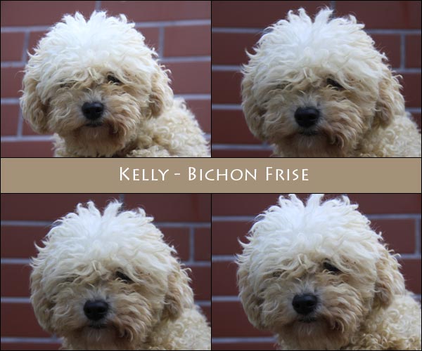 Bild von Kelly