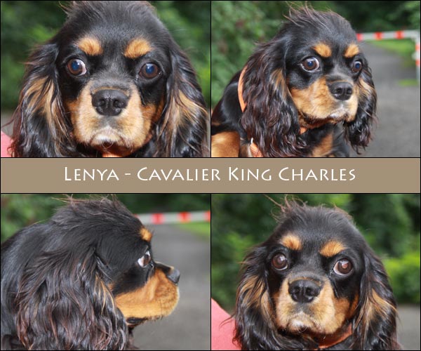 Bild von Lenya