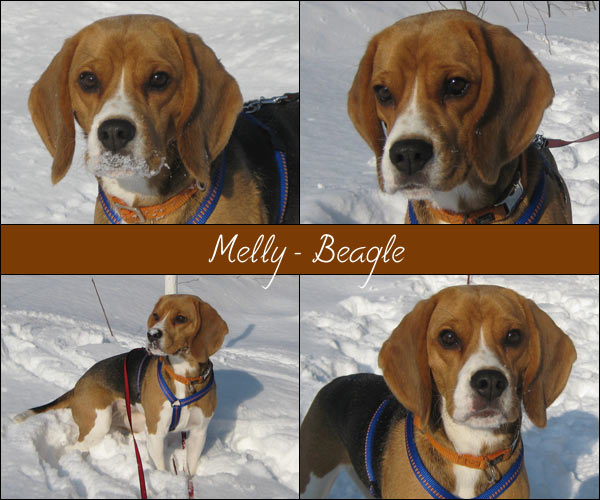 Bild von Melly