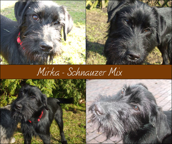 Bild von Mirka