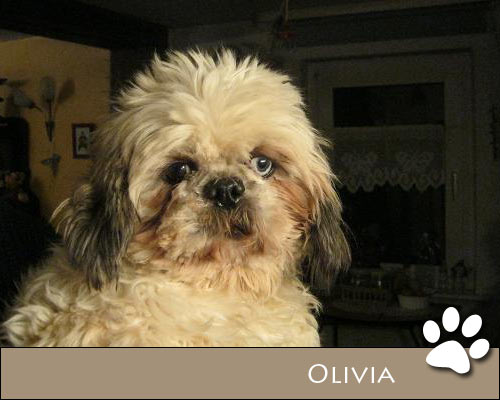 Bild von Olivia