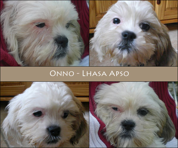 Bild von Onno