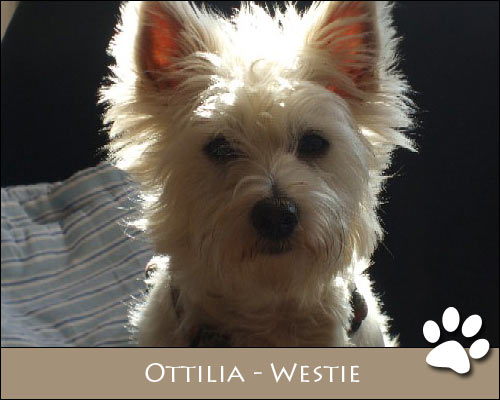 Bild von Ottilia