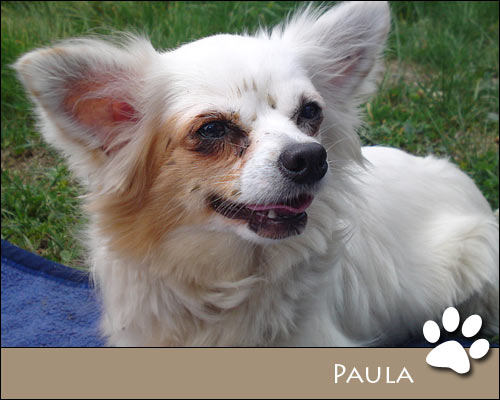 Bild von Paula