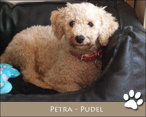 Bild von Petra