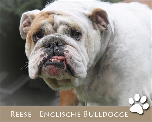 Bild von Reese
