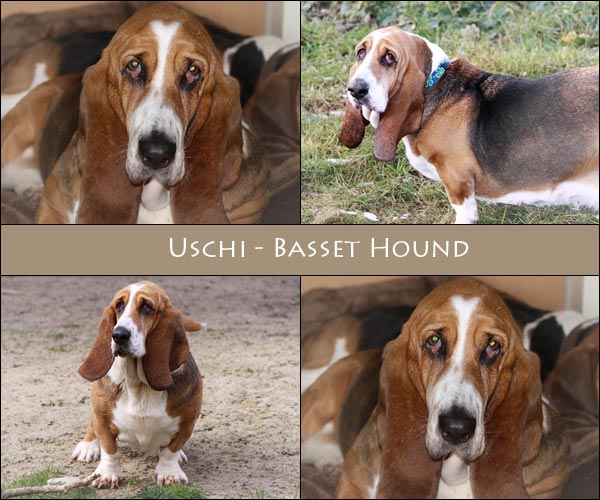 Bild von Uschi