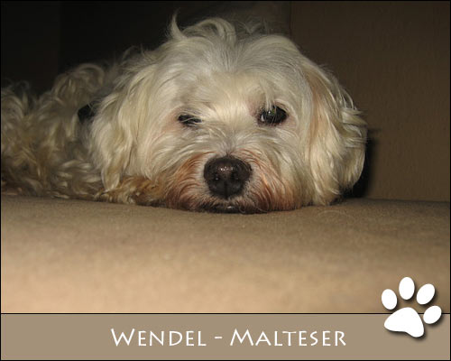 Bild von Wendel
