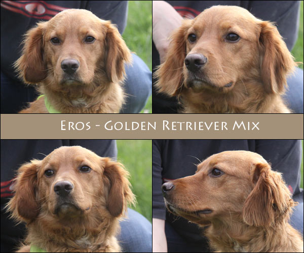 Bild von Eros