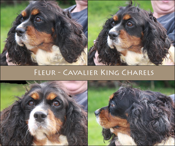 Bild von Fleur