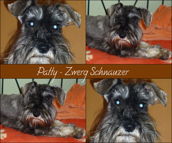 Bild von Patty