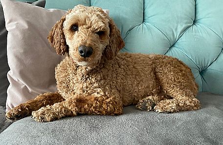 Eddie