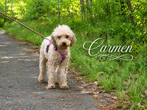 Carmen