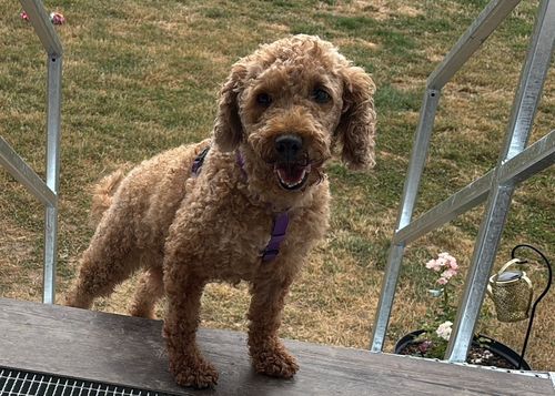 Nora